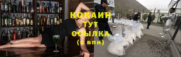 ПСИЛОЦИБИНОВЫЕ ГРИБЫ Абаза