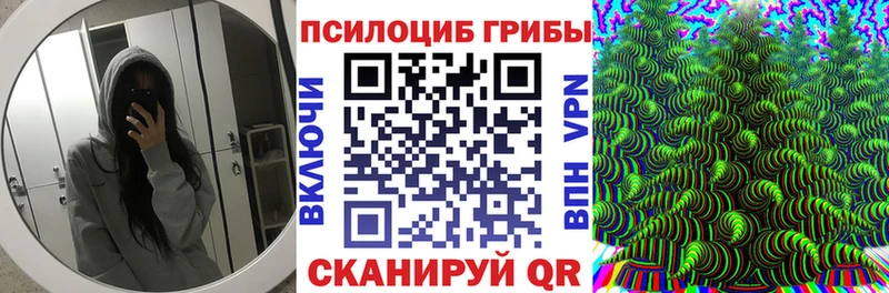 Галлюциногенные грибы Psilocybe Красный Сулин